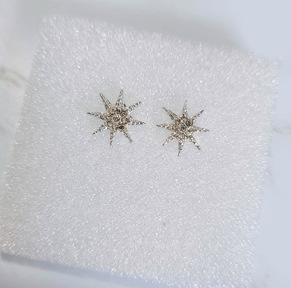 Star Stud Earrings